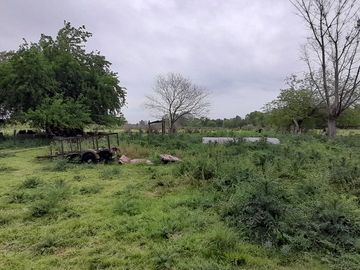 VENTA TERRENO 31.730 m2 GRAL. ROD. R. 24 KM 7.5
