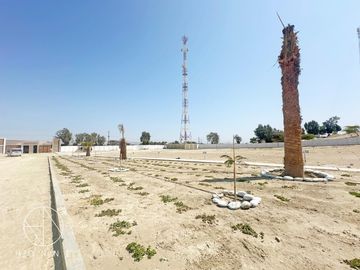 Terreno - Paracas