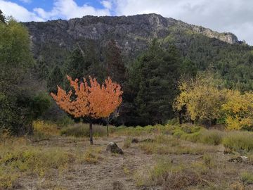 Chacra en Rincón de Lobos