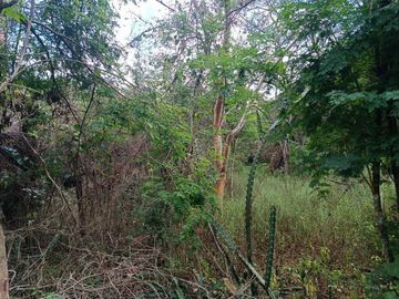 Terreno en Venta en Ticopó, Acanceh, Yucatán - HI2501340