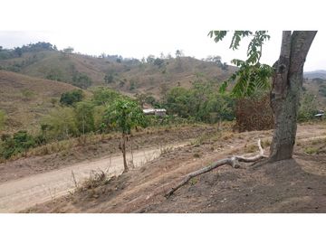 Se Vende Finca 180 Cuadras Sector La Morena Flavio Alfaro