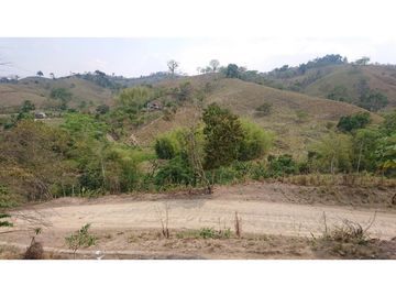 Se Vende Finca 180 Cuadras Sector La Morena Flavio Alfaro