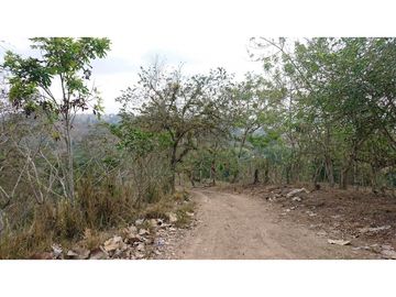 Se Vende Finca 180 Cuadras Sector La Morena Flavio Alfaro
