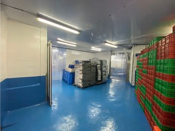 Se Vende Planta Industrial De Mariscos