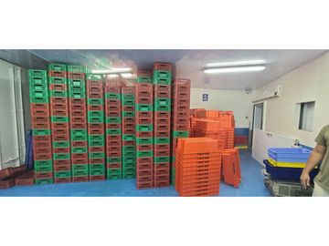Se Vende Planta Industrial De Mariscos