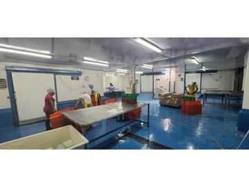 Se Vende Planta Industrial De Mariscos