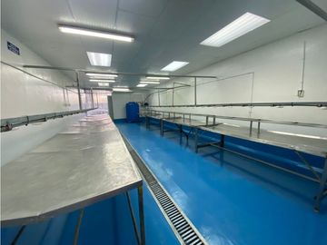 Se Vende Planta Industrial De Mariscos