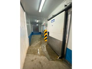 Se Vende Planta Industrial De Mariscos