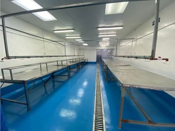 Se Vende Planta Industrial De Mariscos