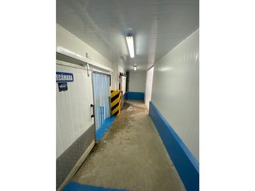Se Vende Planta Industrial De Mariscos