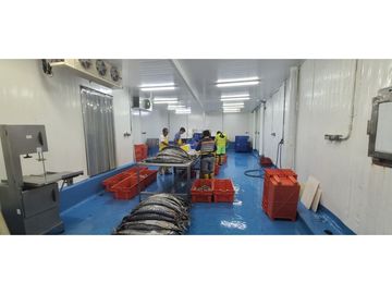 Se Vende Planta Industrial De Mariscos