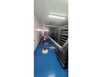 Se Vende Planta Industrial De Mariscos