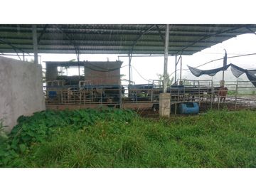 Se Vende 357 Has De Hacienda Productiva Quinindé