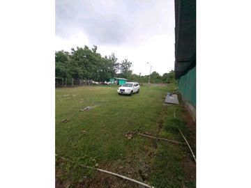 SE VENDE  FINCA PLANA CON CASA y CON GALERA PARA 2500 AVES 2 HECTREAS