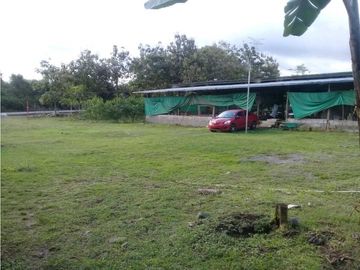 SE VENDE  FINCA PLANA CON CASA y CON GALERA PARA 2500 AVES 2 HECTREAS
