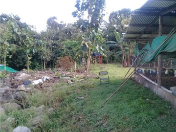 SE VENDE  FINCA PLANA CON CASA y CON GALERA PARA 2500 AVES 2 HECTREAS