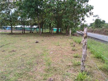 SE VENDE  FINCA PLANA CON CASA y CON GALERA PARA 2500 AVES 2 HECTREAS