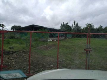 SE VENDE  FINCA PLANA CON CASA y CON GALERA PARA 2500 AVES 2 HECTREAS