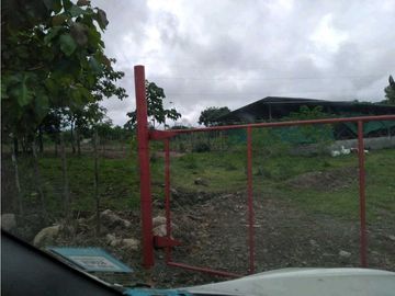 SE VENDE  FINCA PLANA CON CASA y CON GALERA PARA 2500 AVES 2 HECTREAS