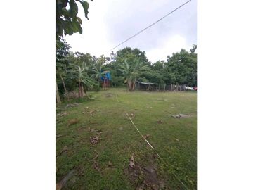 SE VENDE  FINCA PLANA CON CASA y CON GALERA PARA 2500 AVES 2 HECTREAS