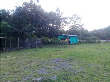 SE VENDE  FINCA PLANA CON CASA y CON GALERA PARA 2500 AVES 2 HECTREAS