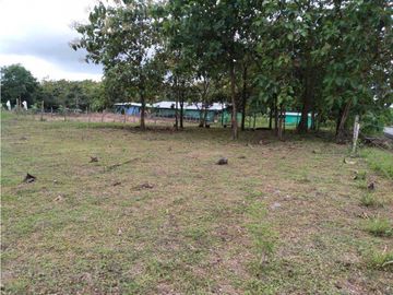 SE VENDE  FINCA PLANA CON CASA y CON GALERA PARA 2500 AVES 2 HECTREAS