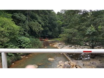 CERRO AZUL / FINCA CON 2 CABAÑAS TURISTICAS /  1,172 M2