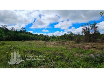 VENTA DE FINCA 4 HECTREAS MESETA BOQUERÓN