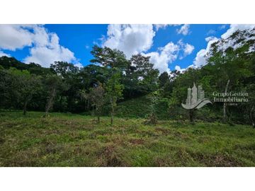 VENTA DE FINCA 4 HECTREAS MESETA BOQUERÓN