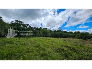 VENTA DE FINCA 4 HECTREAS MESETA BOQUERÓN