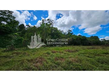 VENTA DE FINCA 4 HECTREAS MESETA BOQUERÓN