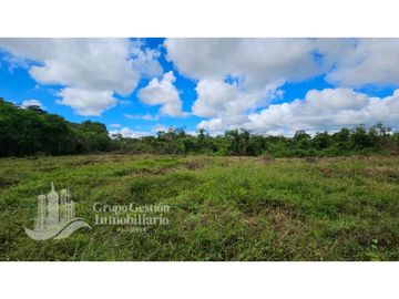 VENTA DE FINCA 4 HECTREAS MESETA BOQUERÓN