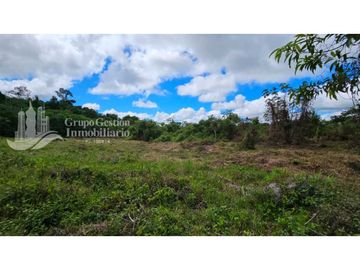 VENTA DE FINCA 4 HECTREAS MESETA BOQUERÓN