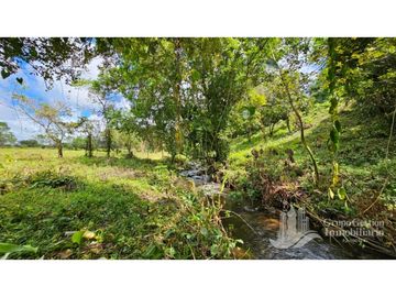 VENTA DE FINCA 4 HECTREAS MESETA BOQUERÓN