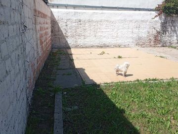 Venta Casa 3 Dormitorios con 2 Cocheras Boulogne