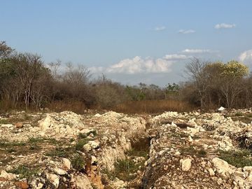 Terreno en venta en Santa Cruz - HI2404271