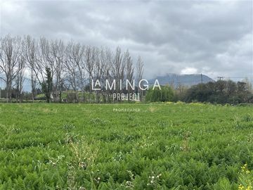Industrial en Venta en Llay Llay