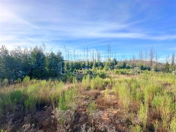 Sitio en Venta en QUILQUELT, Santa Juana