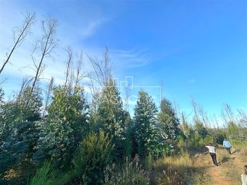 Sitio en Venta en QUILQUELT, Santa Juana