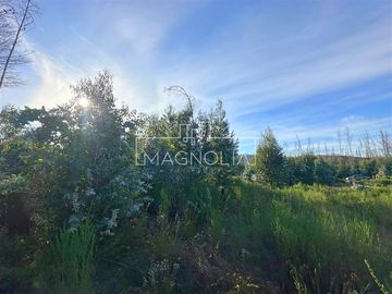 Sitio en Venta en QUILQUELT, Santa Juana
