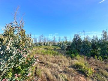Sitio en Venta en QUILQUELT, Santa Juana