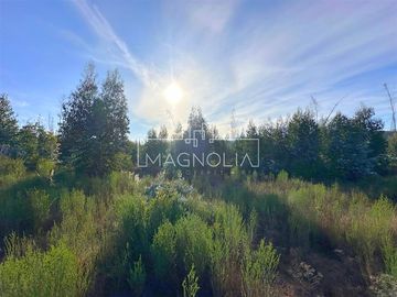 Sitio en Venta en QUILQUELT, Santa Juana