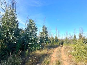 Sitio en Venta en QUILQUELT, Santa Juana