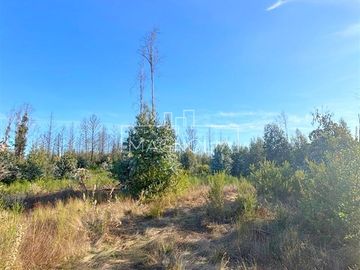 Sitio en Venta en QUILQUELT, Santa Juana