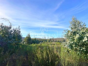 Sitio en Venta en QUILQUELT, Santa Juana