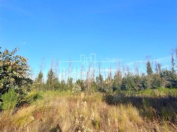Sitio en Venta en QUILQUELT, Santa Juana