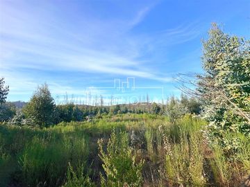 Sitio en Venta en QUILQUELT, Santa Juana