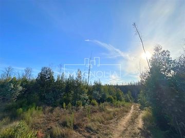 Sitio en Venta en QUILQUELT, Santa Juana