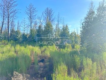 Sitio en Venta en QUILQUELT, Santa Juana