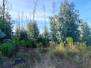 Sitio en Venta en QUILQUELT, Santa Juana